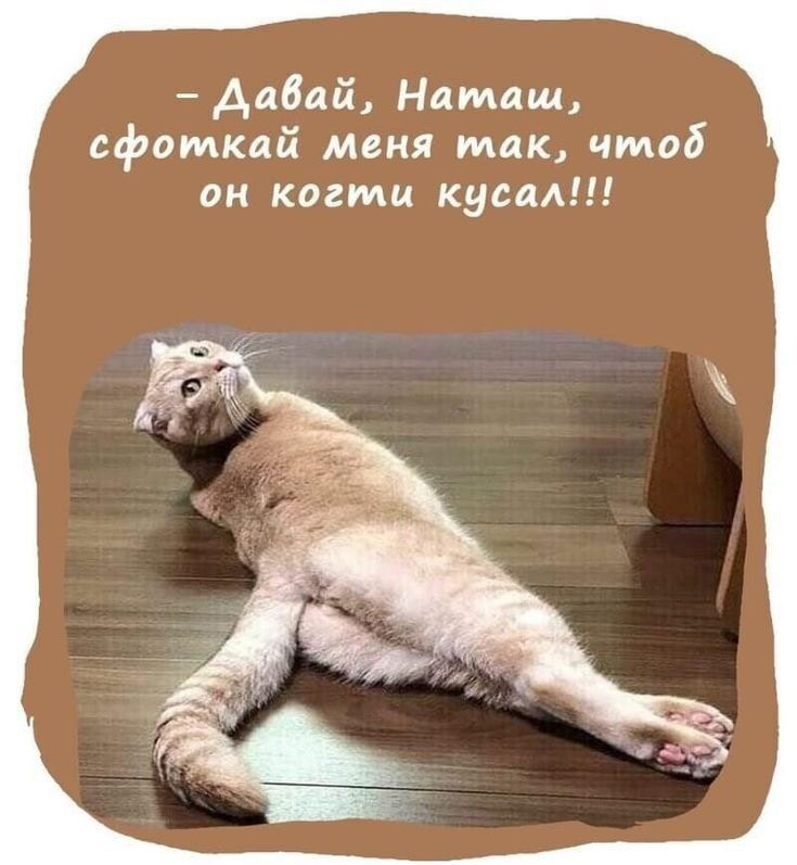 Аабай Наташ сфоткай меня так чтоб он когти кусаА