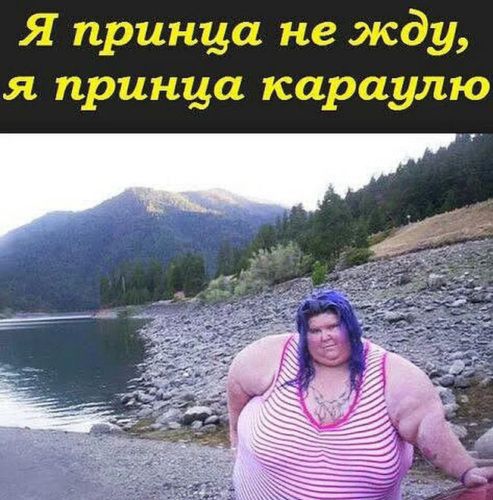 Я принца не жду я принца караулю