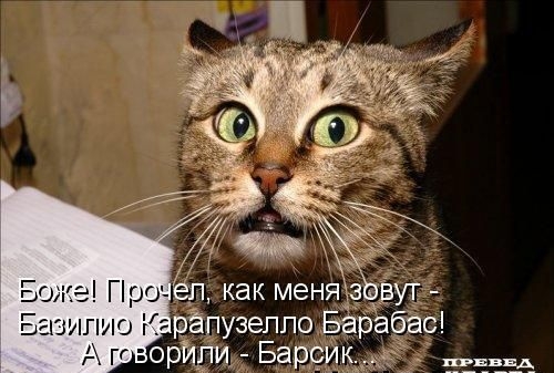 Р 5 А Боже Птёл как меня_з дут Базипио К рЁпузеппо Бёр