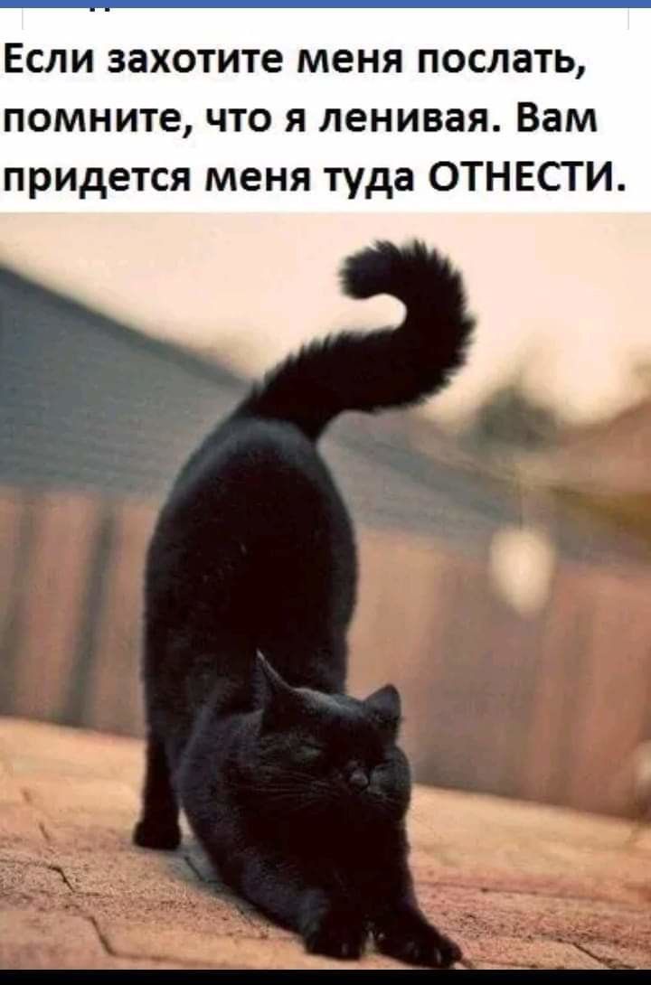 Если захотите меня послать помните что я ленивая Вам придется меня туда ОТНЕСТИ
