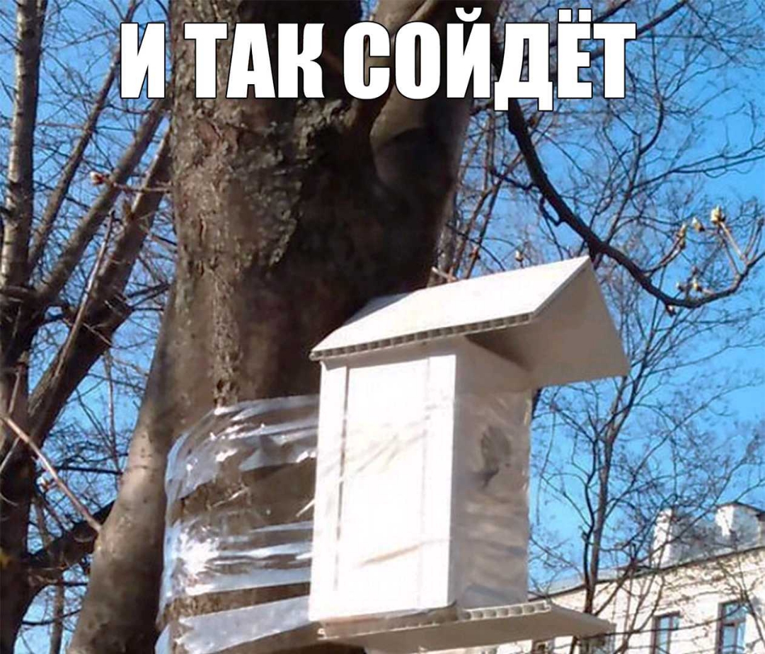 иідтдн сойдёт