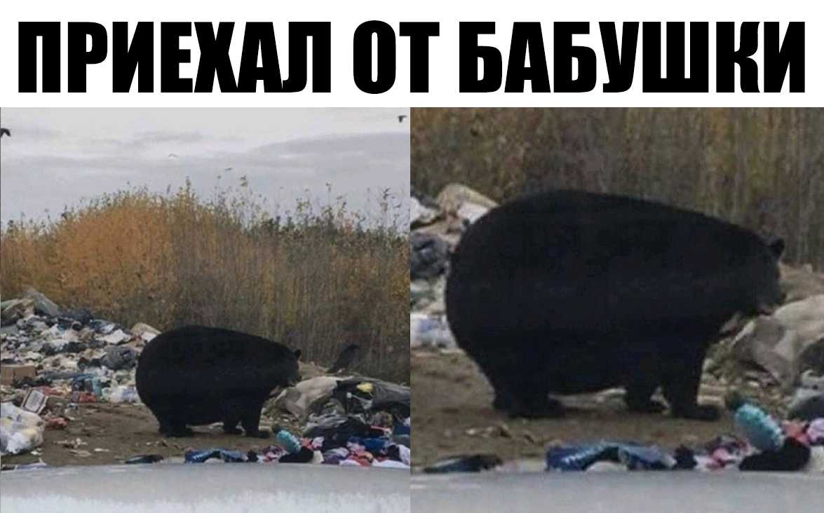 Ш Б А Б 0 В п