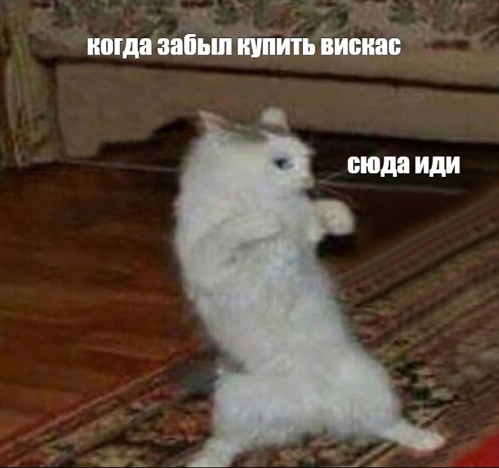 п 351 Ъ и __ ПОГМЗЗЁЪШ КУПИТЬ висит __ _