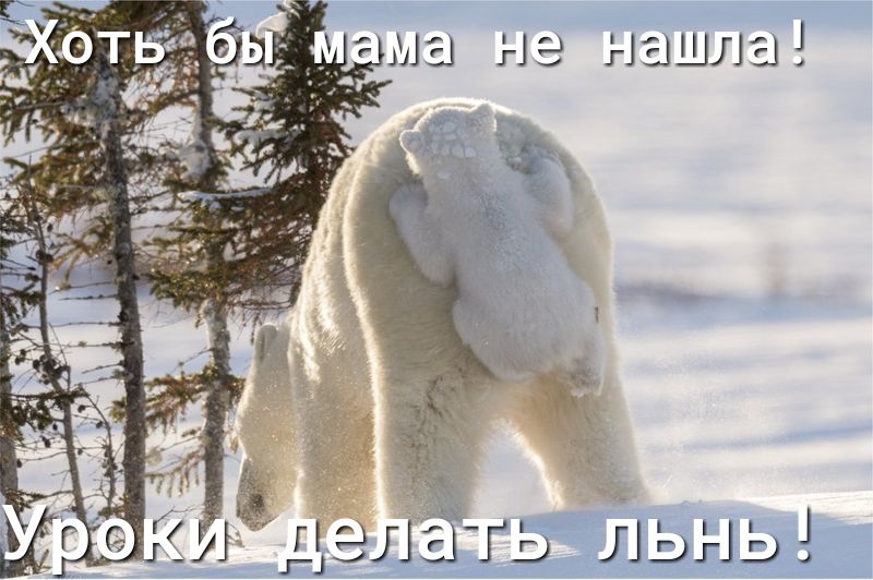 не нашла