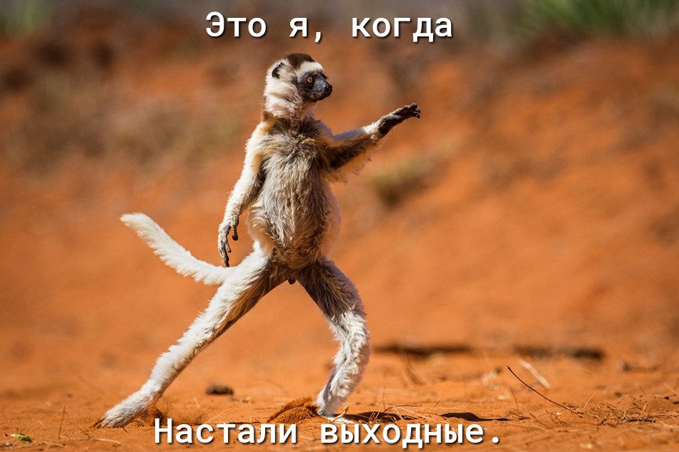 Это я когда Настали ЁПхбдНые