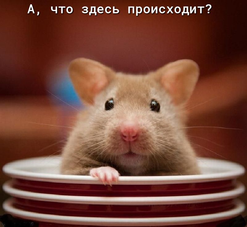 А что здесь происходит