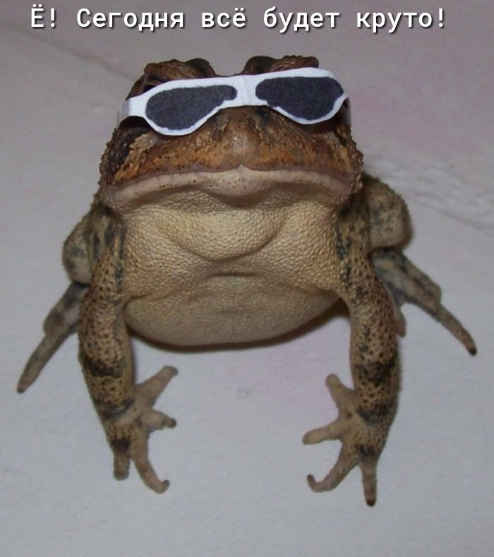 Ё Сзгэщш ззё буду ат круг