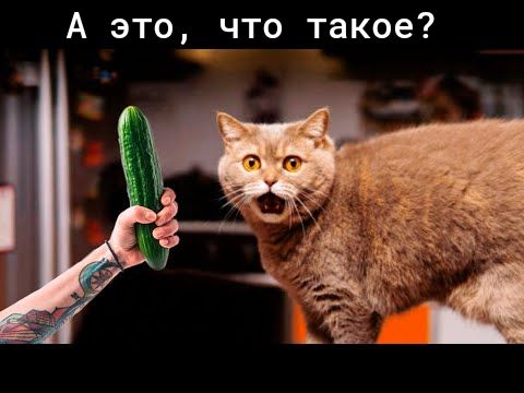 А это _ что такое