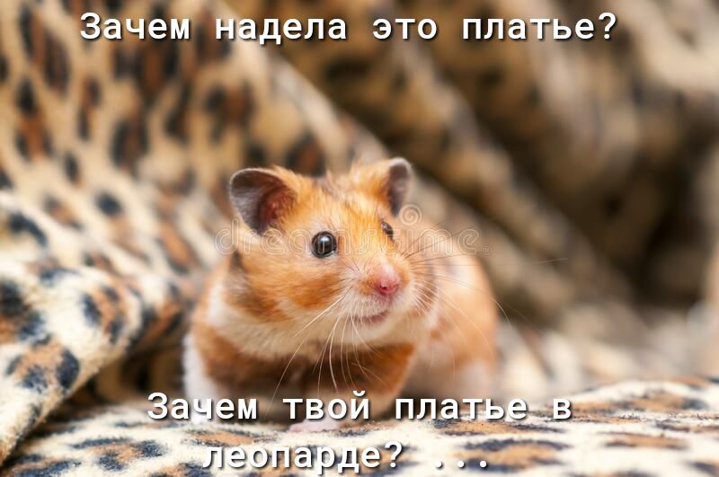 дчейдЁ это пл