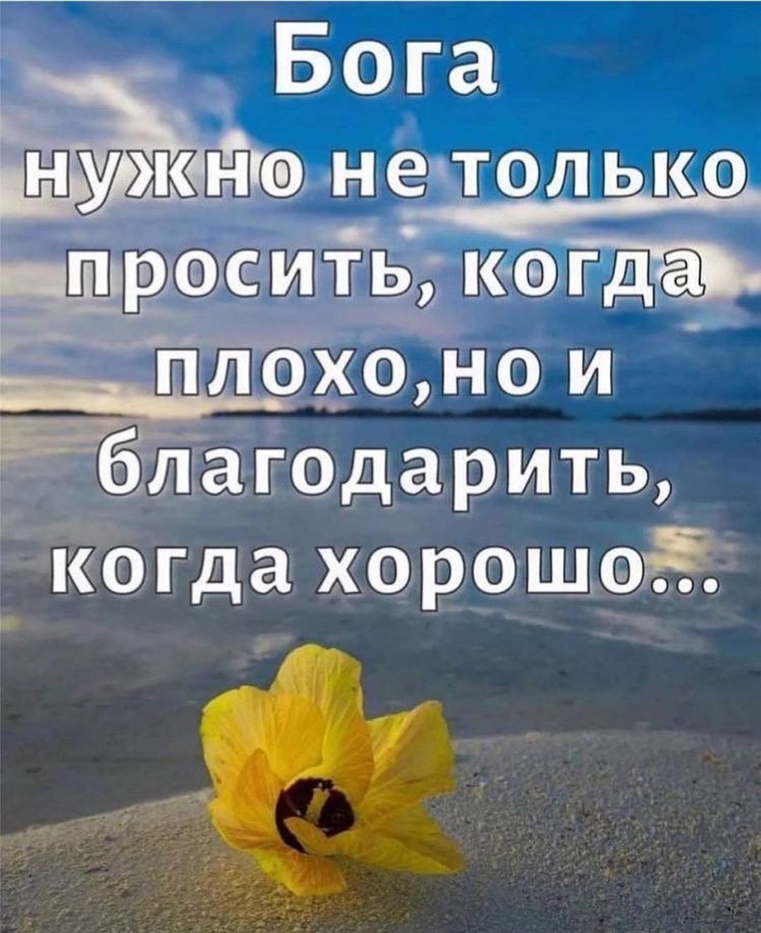 за Бога нущьіга не только 9016 мёд кат да ггч _Пдрхомо и благодарить когда хорошее 7