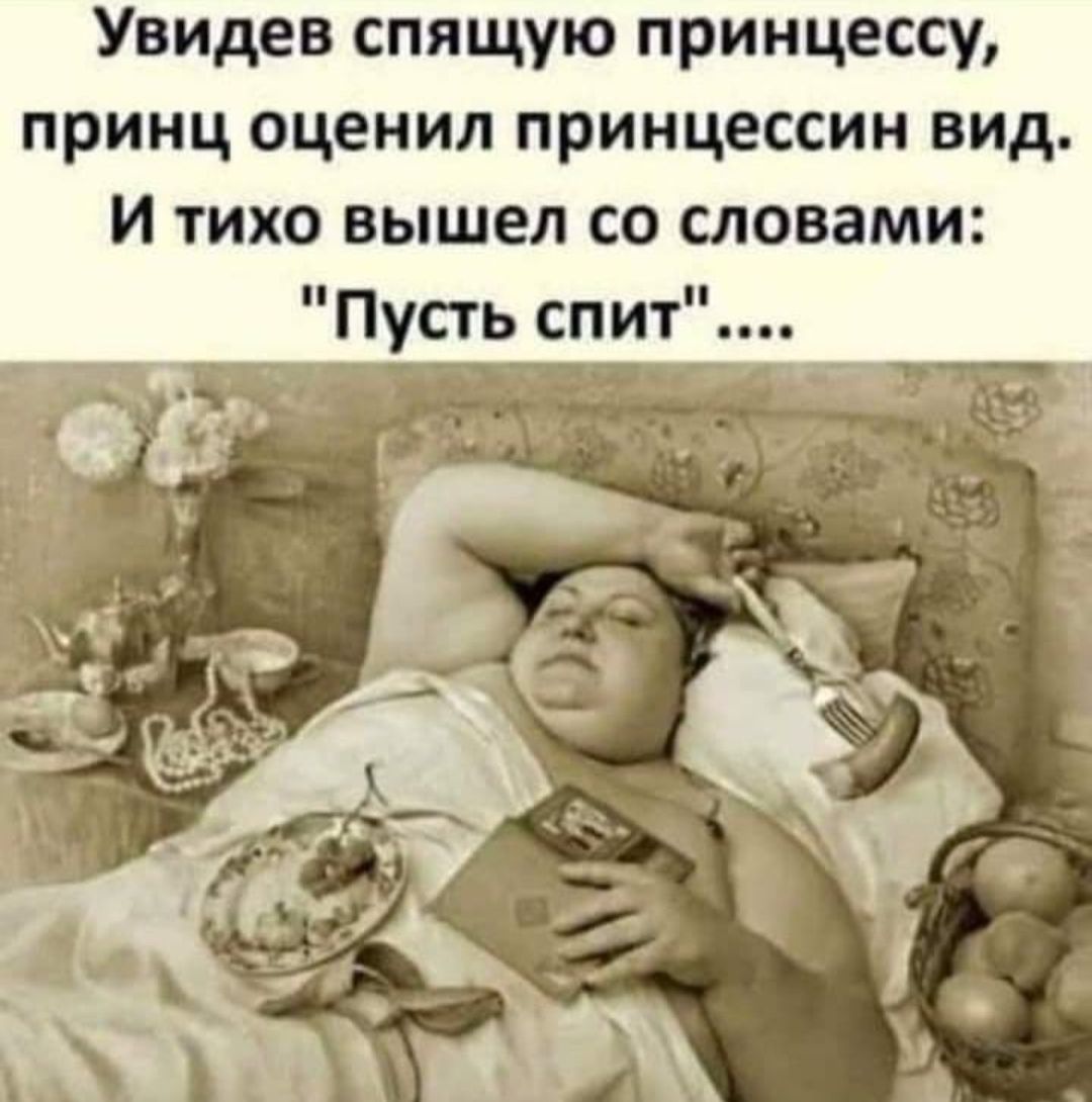 Увидев спящую принцессу принц оценил принцессин вид И тихо вышел со словами Пусть спит