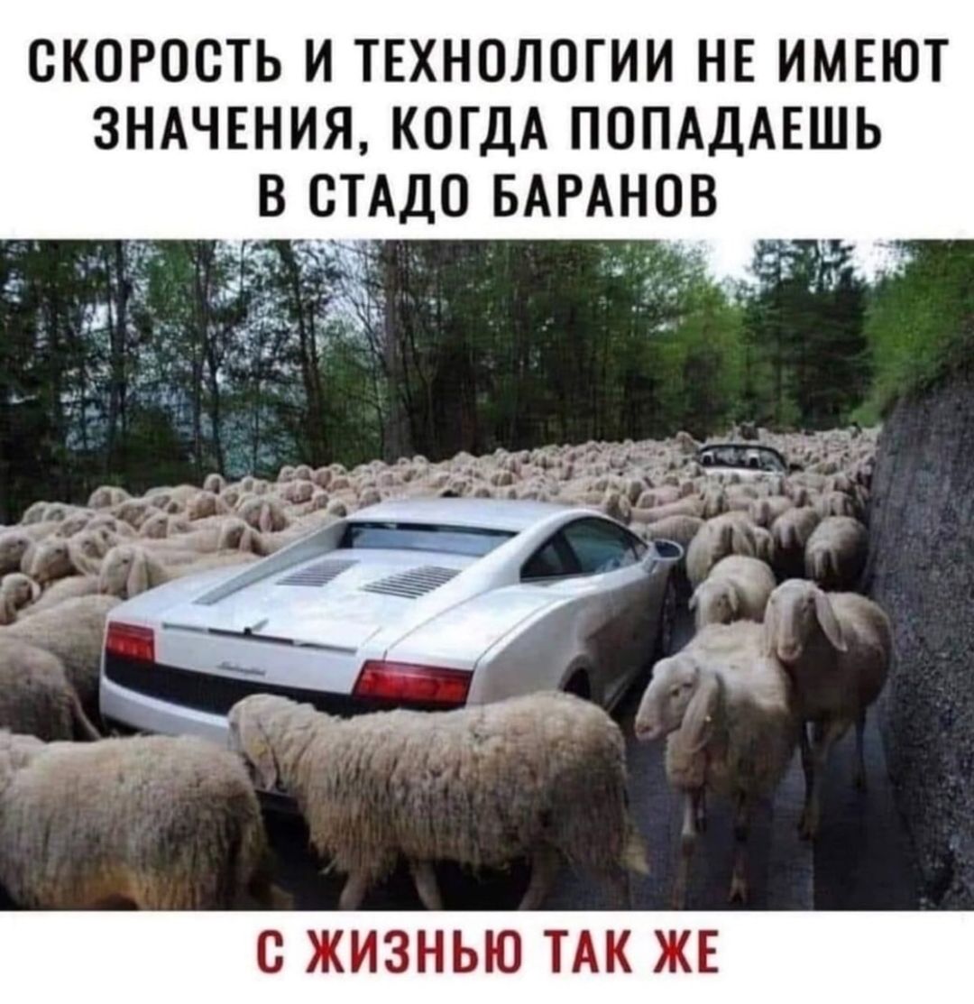 СКОРОСТЬ И ТЕХНОЛОГИИ НЕ ИМЕЮТ ЗНАЧЕНИЯ КОГДА ПОПАДАЕШЬ В СТАДО БАРАНОВ С ЖИЗНЬЮ ТАК ЖЕ