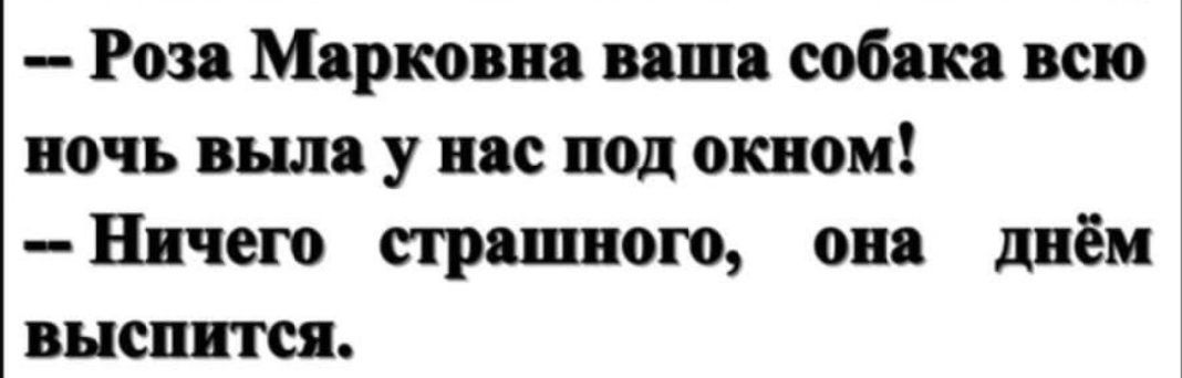 Роза Мяркоып ваши собака всю ночь вши у все под окном Пичет приливом он днём высится