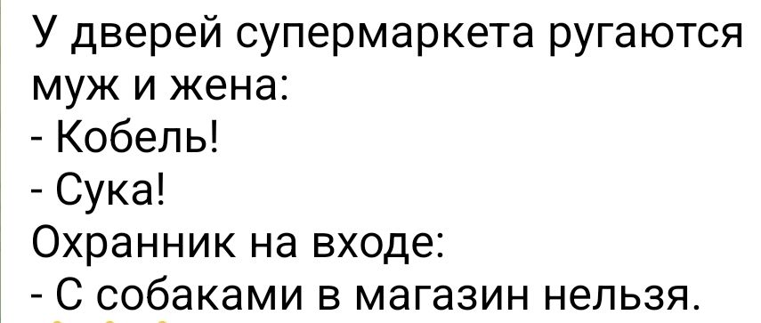 У дверей супермаркета ругаются муж и жена Кобель Сука Охранник на входе С собаками в магазин непьзя