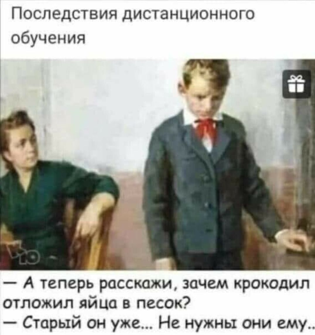Последствия дистанционного обучения А теперь расскажи зачем крокодил отложил яйца в песок Старый он уже Не нужны они ему