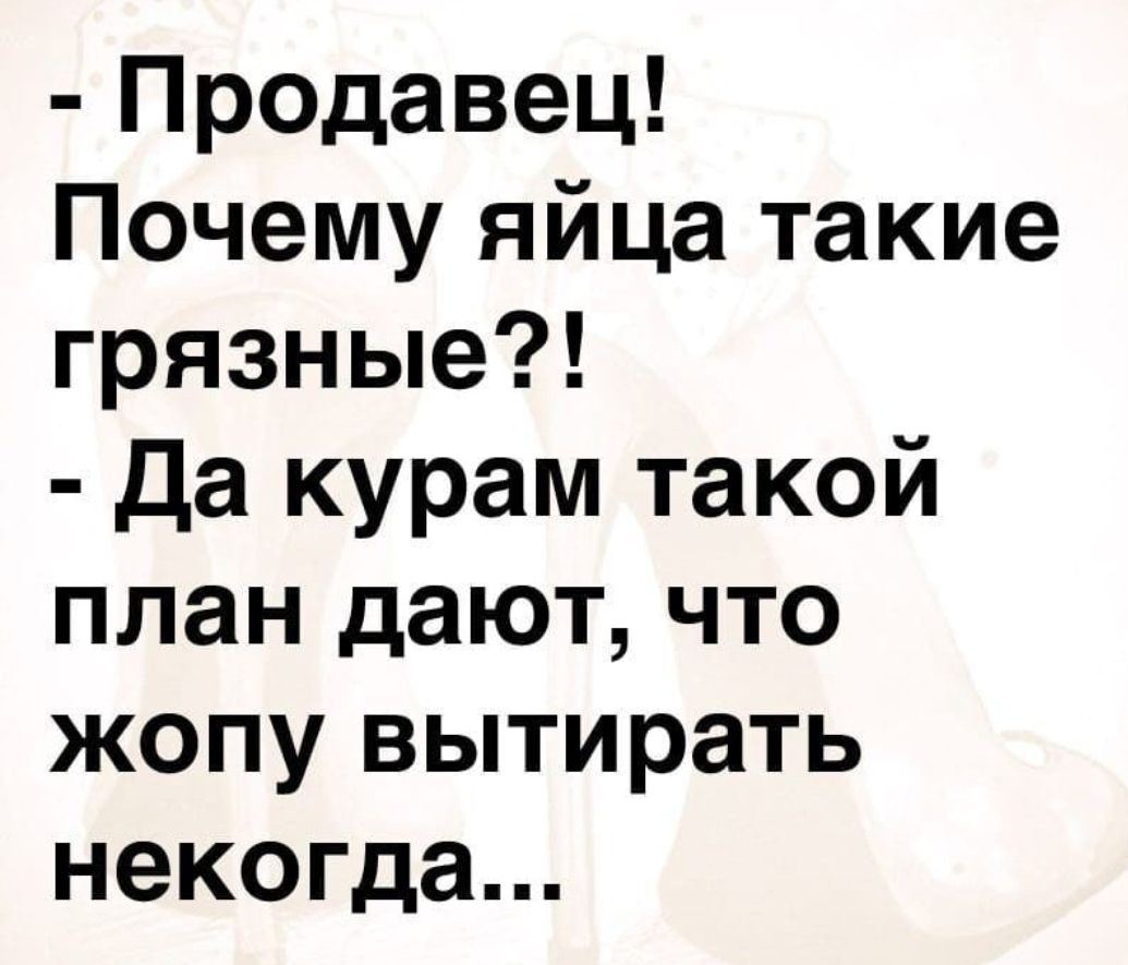 Продавец Почему яйца такие грязные Да курам такой план дают что жопу  вытирать некогда - выпуск №2261981