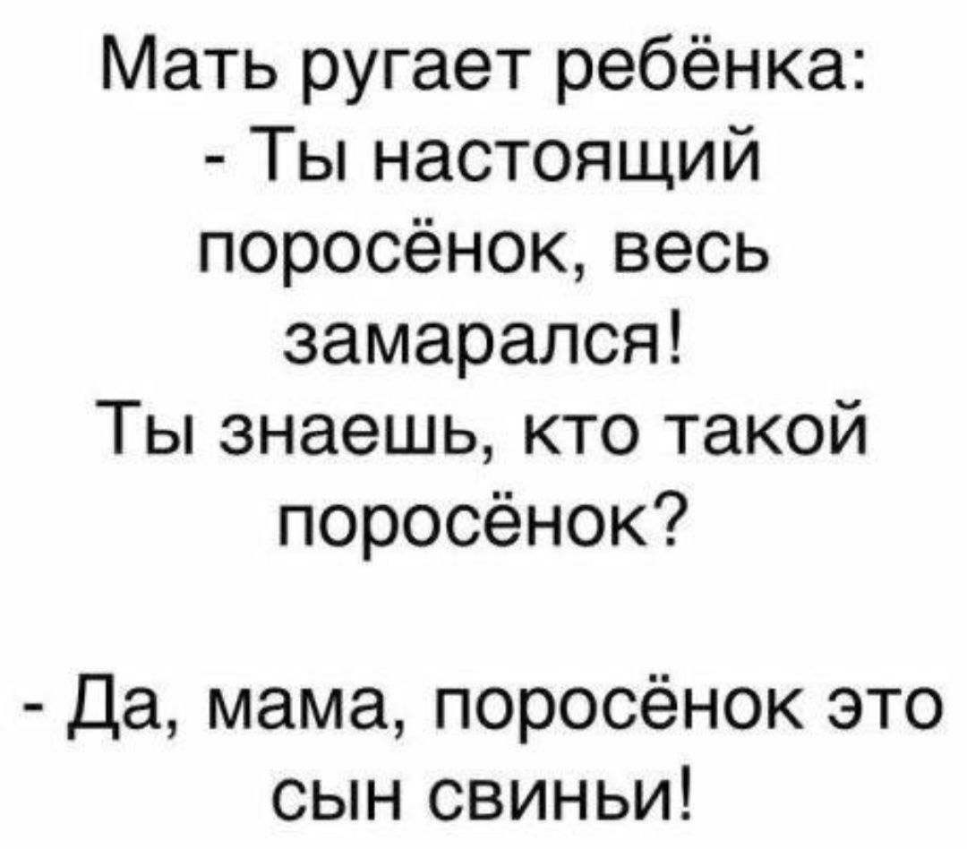 Мать ругает ребёнка Ты настоящий поросёнок весь замарался Ты знаешь кто такой поросёнок Да мама поросёнок это сын свиньи