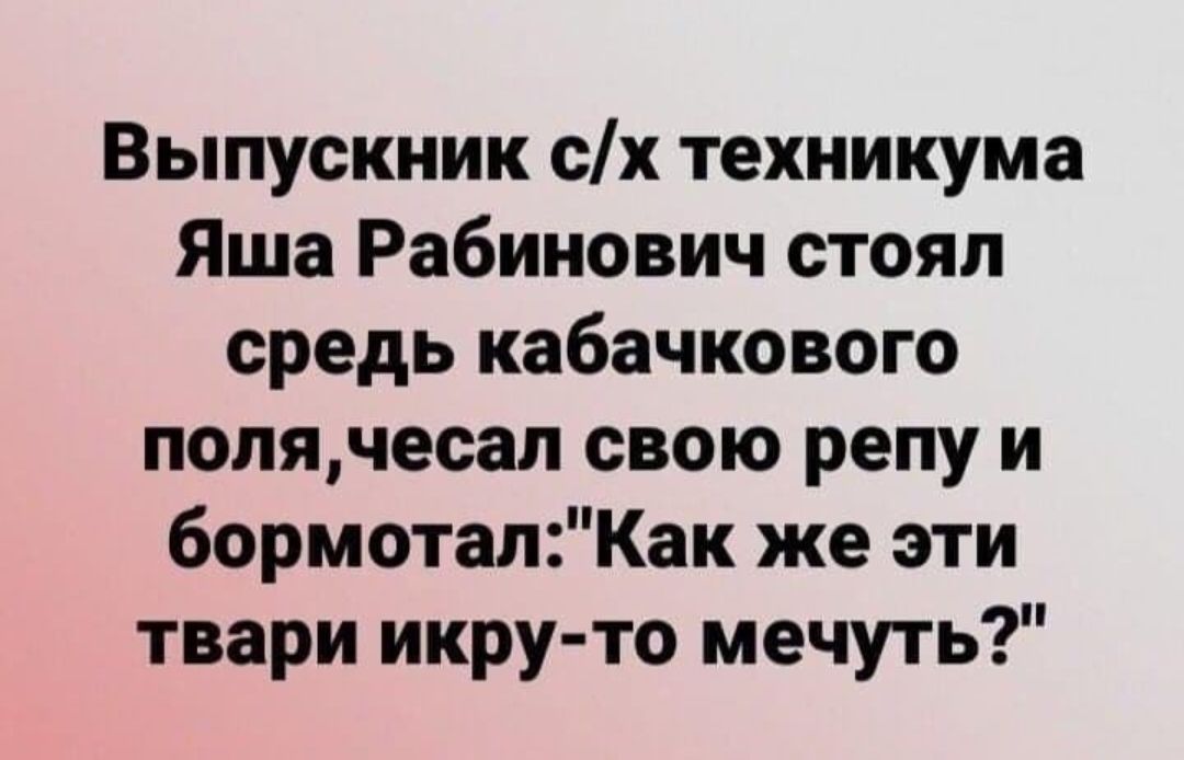 Выпускник сх техникума Яша Рабинович стоял средь кабачкового попячесап свою репу и бормотапКак же эти твари икру то мечуть