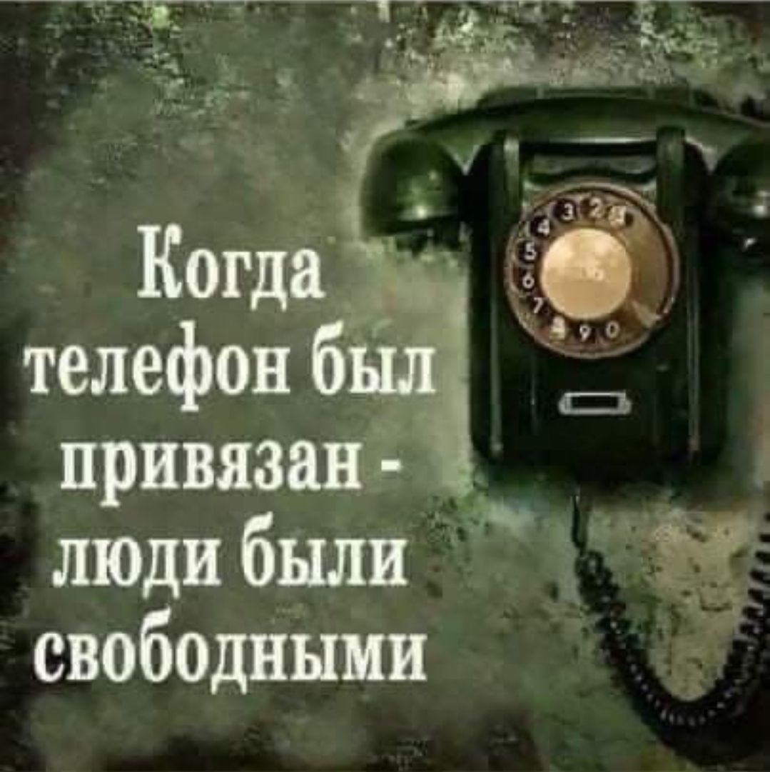 свободными