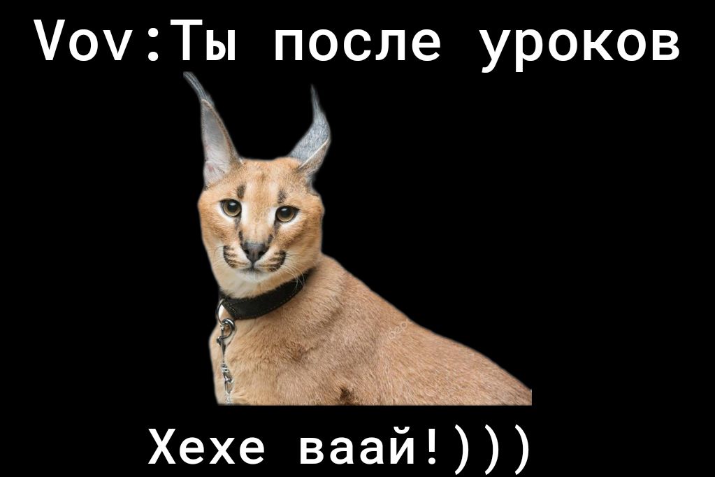 УочТы после уроков Хехе ваай