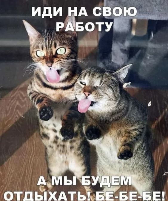 Ье Ъ иди НА СБОЮддй Р БОТУ
