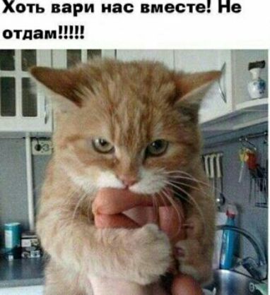 ОТЬ вари 80 вместе силами