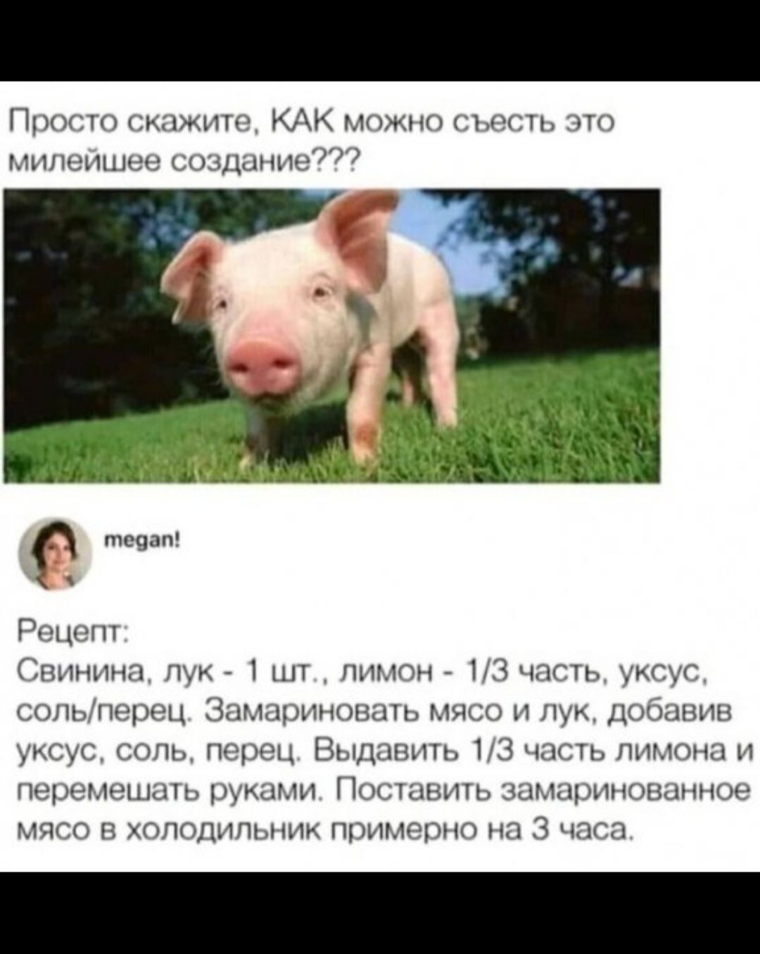 Просто скажите КАК можно съесть это милеишее создшчиеУ теуап Рецепт Свинина лук 1 шт лимон 13 часть уксус сольперец Зомариновать мясо и лук добавив уксус соль перец Выдавить 13 часть лимона и перемешать руками ПОСТНВИТЬ замаринованное мясо в холодильник примерно на 3 часа