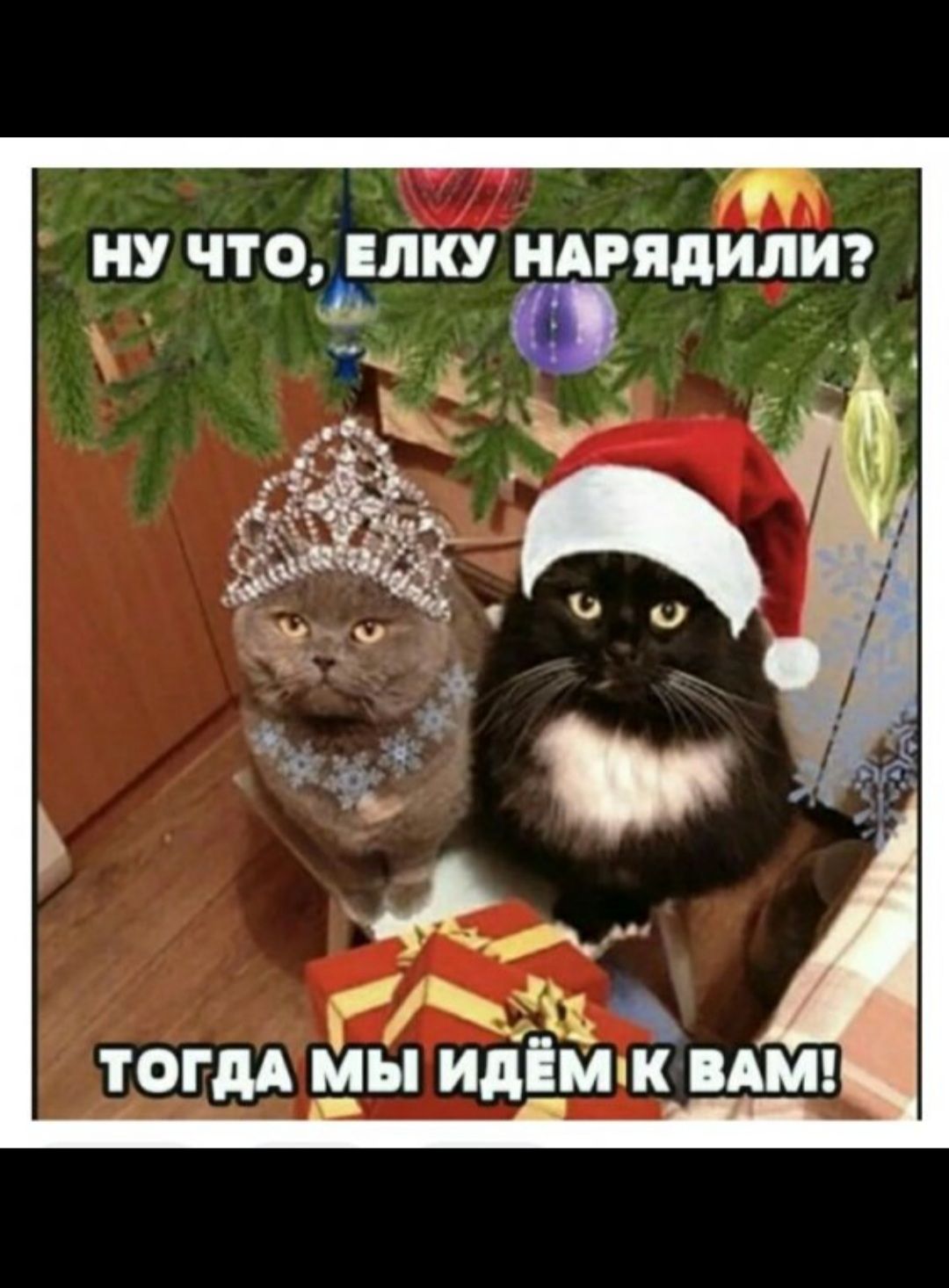 НУ ЧТОЛКУ НАРЯДИЛИ