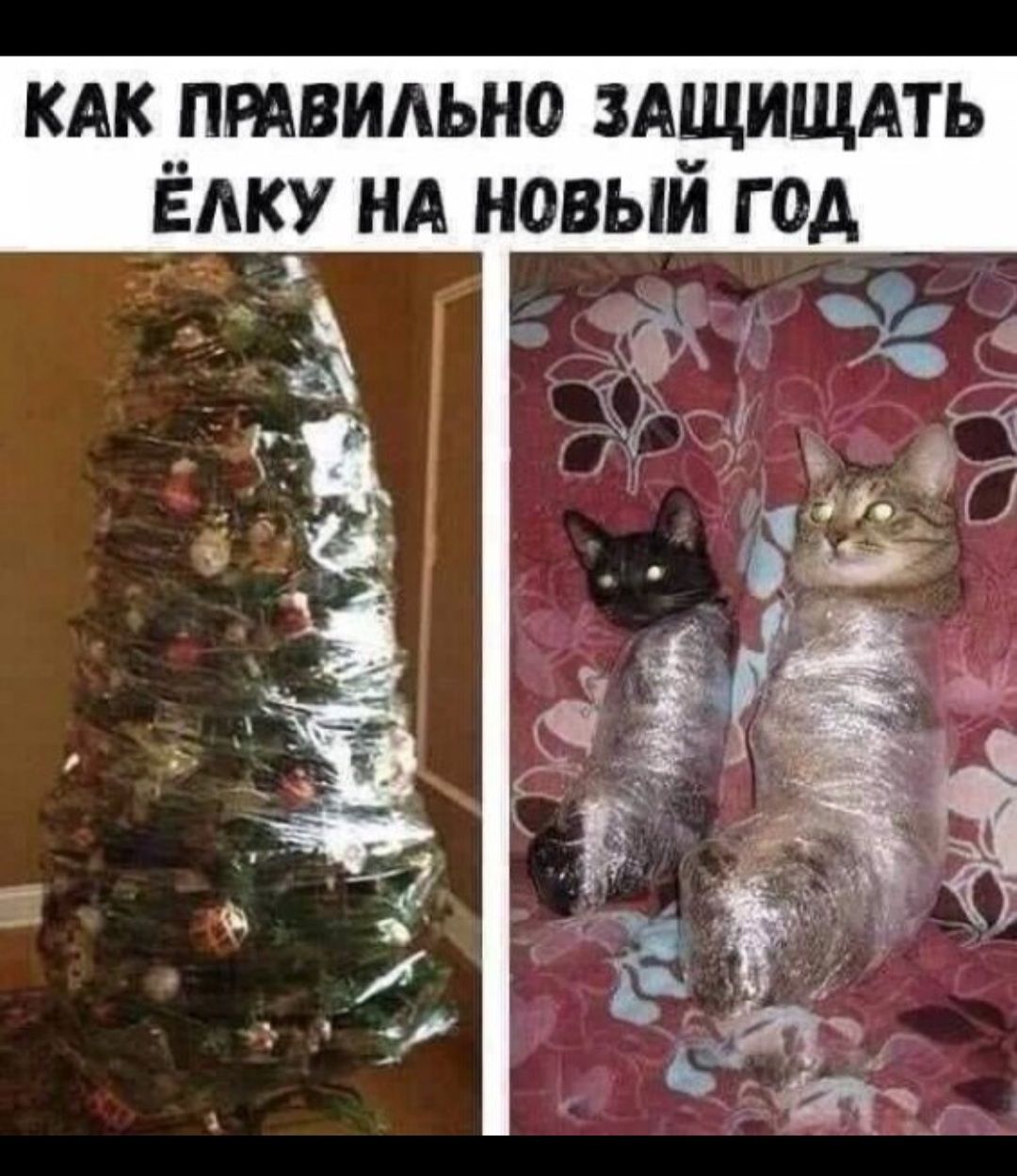 кАк птвидьно ЗАЩИЩАТЬ Ёдку нд новыи год _ _ из