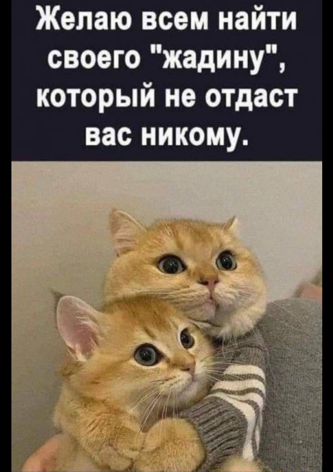 Желаю всем найти своего жадину который не отдаст вас никому