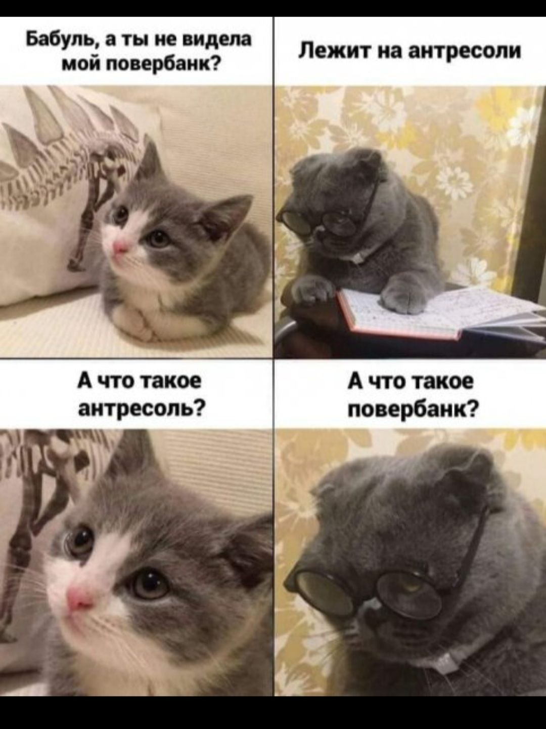 Бабуль а ты не видела мой повербанк Лежит на антресоли А что такое А что такое антресопь повербанк