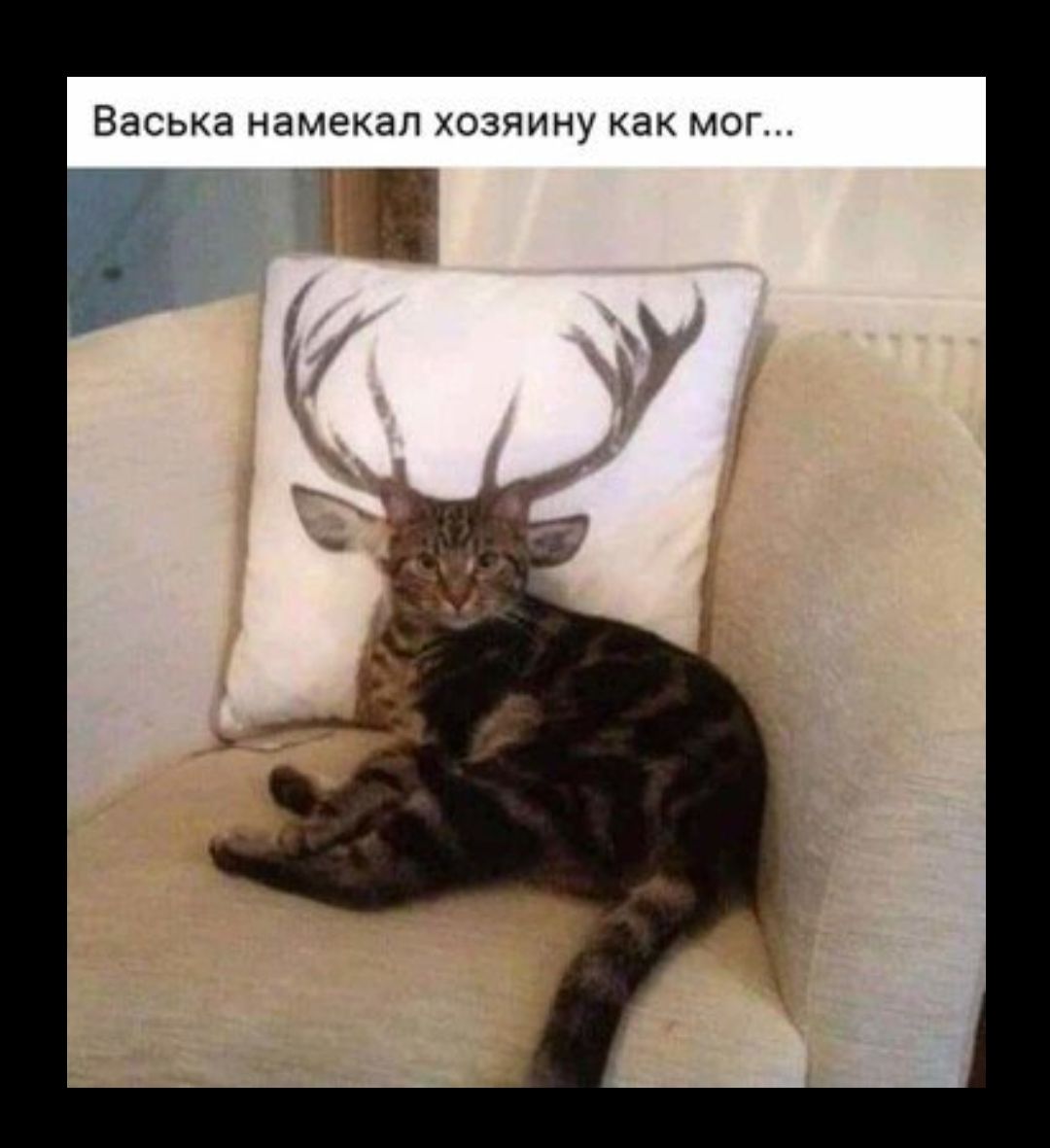 ВЭСЬКЭ намекал ХОЗЯИНУ как МОГ