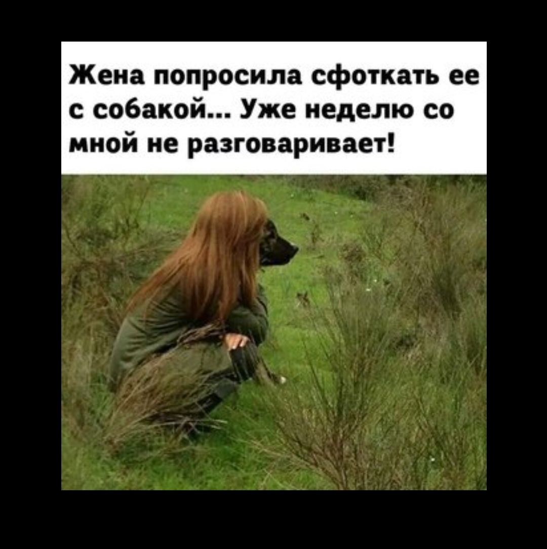 Попросили сфоткать