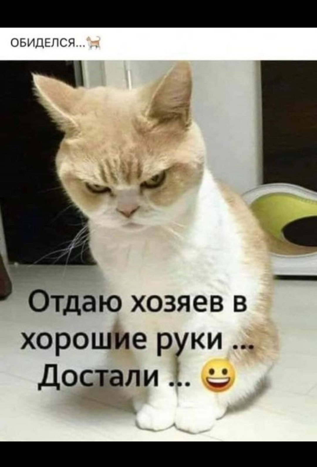 Отдам хозяину