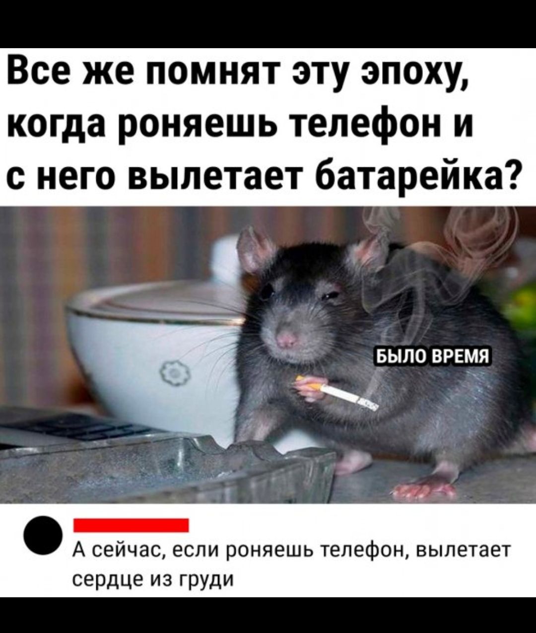 Все же помнят эту эпоху когда роняешь телефон и с него вылетает батарейка БЫЛО ВРЕМЯ А сейчас если роняешь телефон вылетает сердце из груди