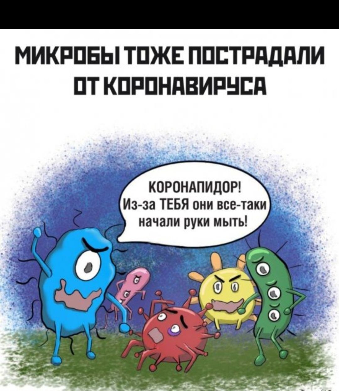 МИКРПБЫ ТПЖЕ ППБТРдддПИ ПТ КПРПНПВИРНЕП КОРОНАПИДОР Из за ТЕБЯ они все таки начали руки мыть