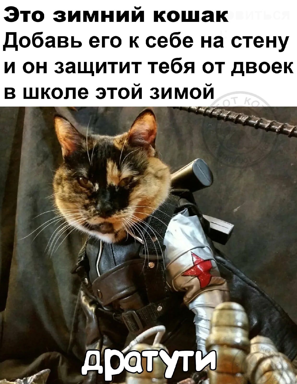 Это зимний кошак Добавь его к себе на стену и он защитит тебя от двоек