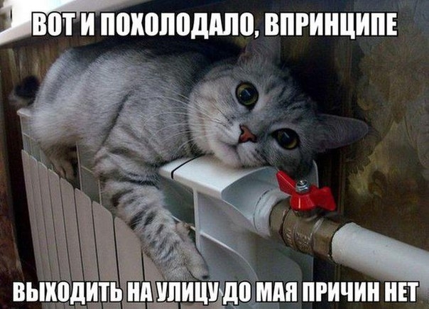вьіщдьшщзп пляши миг ИЧИН НЕТ