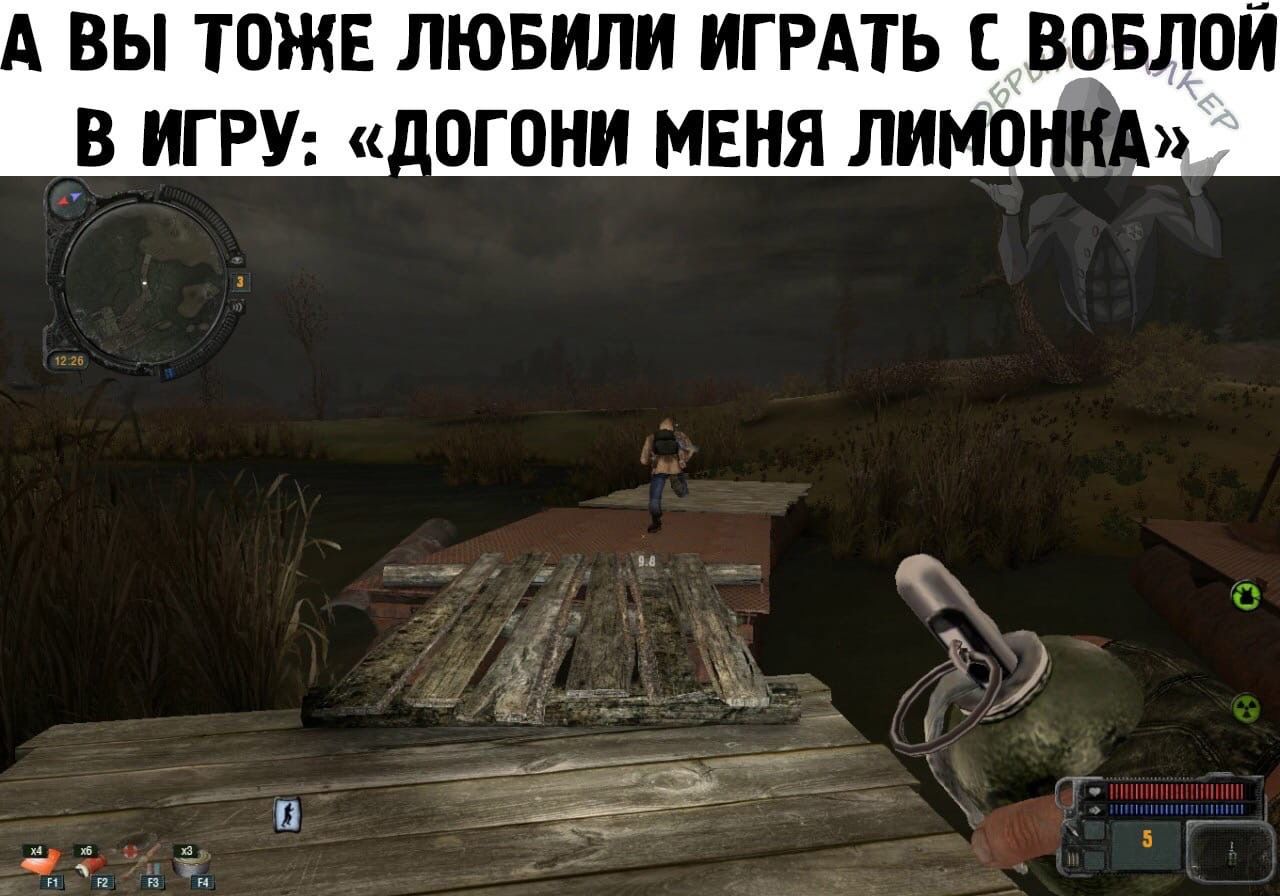 ВЫ ТОЖЕ ЛЮБИЛИ ИГРАТЬ С ВОБЛОЙ В ИГРУ ОНИ МЕНЯ ЛИМО Е А С