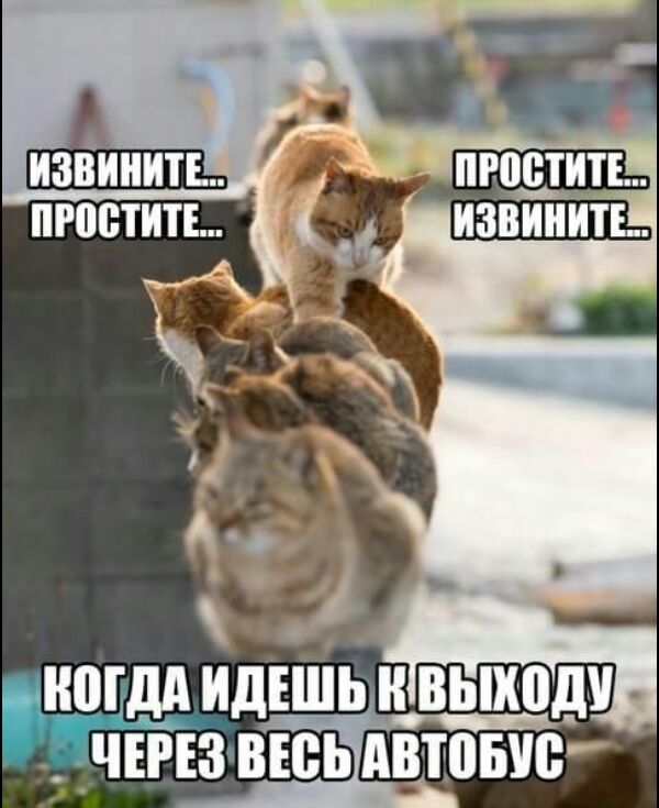 ногддд ИДЕШБ ВЫХОД _ ЧЕРЕ 3 ВЕВЬАВЮБУВ