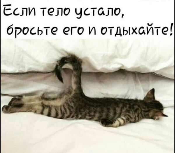 Если тело устало бросьте его и отдыхайте