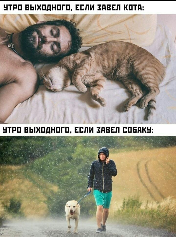 НТРП ВЫХПдНПГП ЕСЛИ ПВЕЛ КПТА