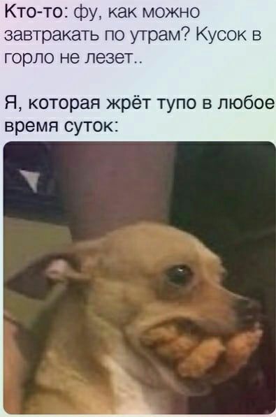 Кто то фу как можно завтракать по утрам Кусок в горло не лезет Я которая жрёт тупо в любое время суток
