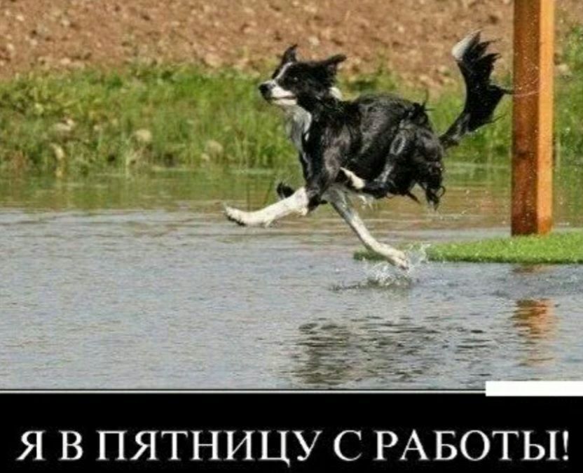 ъь _ 49 Я В ПЯТНИЦУ С РАБОТЫ