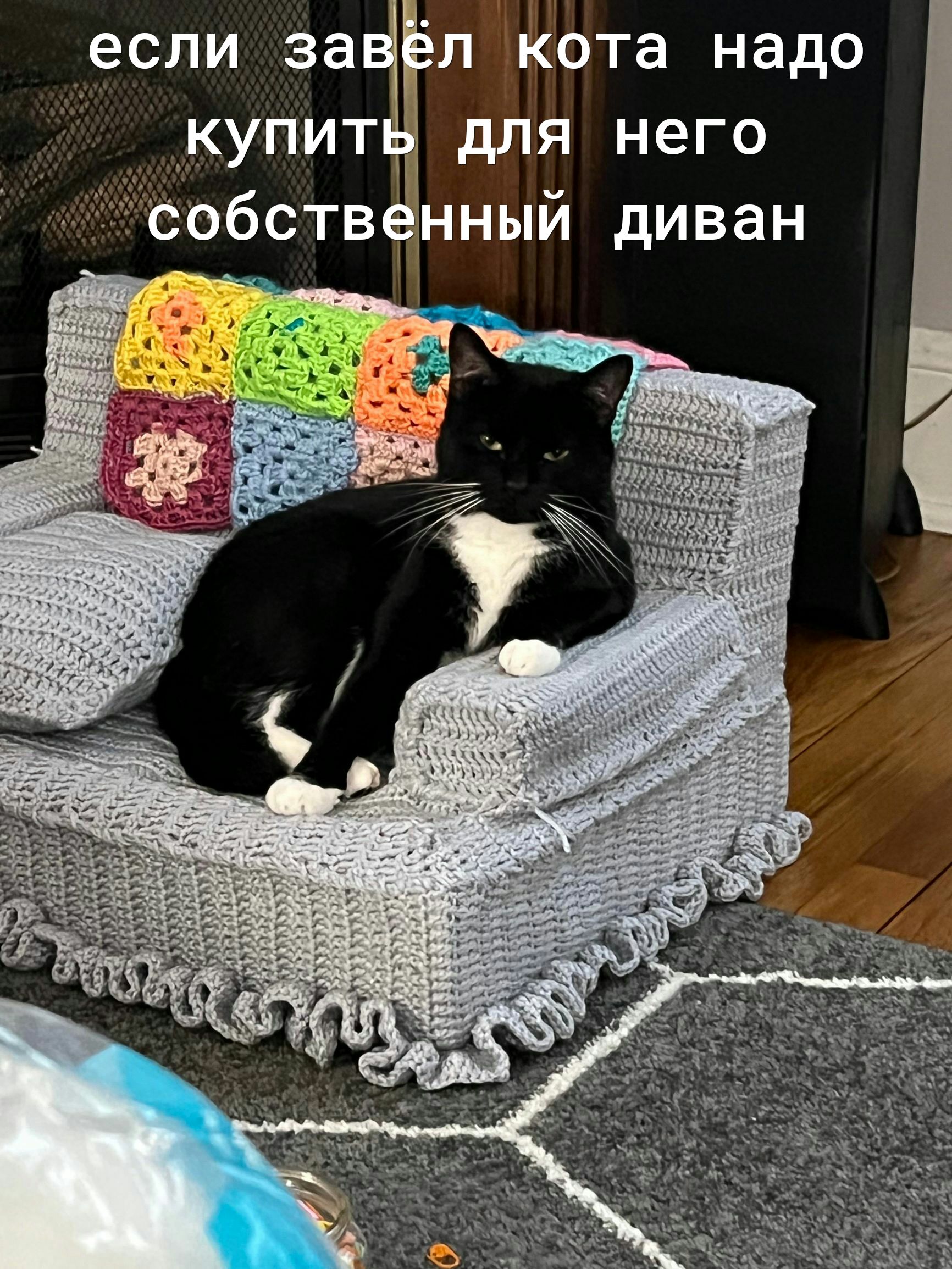 енный диван л кота надо для него Ві купит бств если за СО