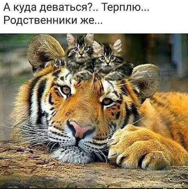 Ю П П Т 7 я С Ь Т а в е д а д У К А е ж и к и Н Н 6 в Т С д 0 Р