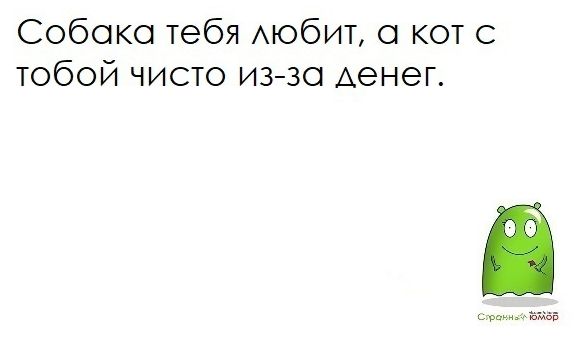 Собака тебя АЮбИТ кот тобой чисто иззо Аенег