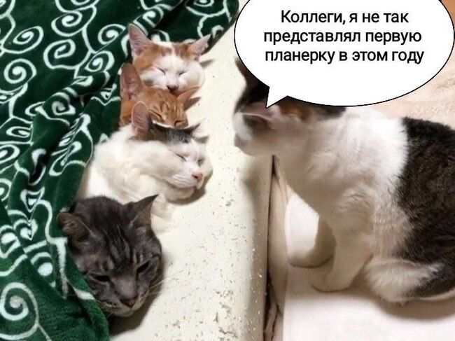 Коллеги я не так представлял первую планерку в этом году