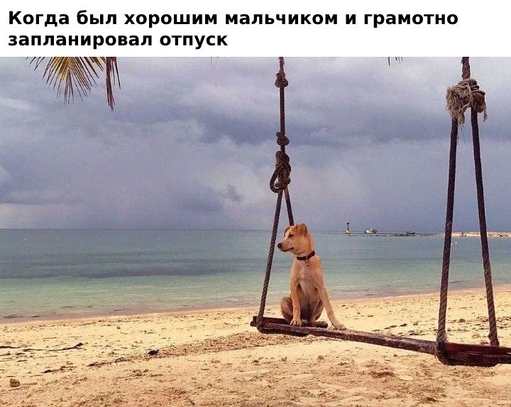 когда был хорошим мальчиком и грамотно запланиропап отпуск _