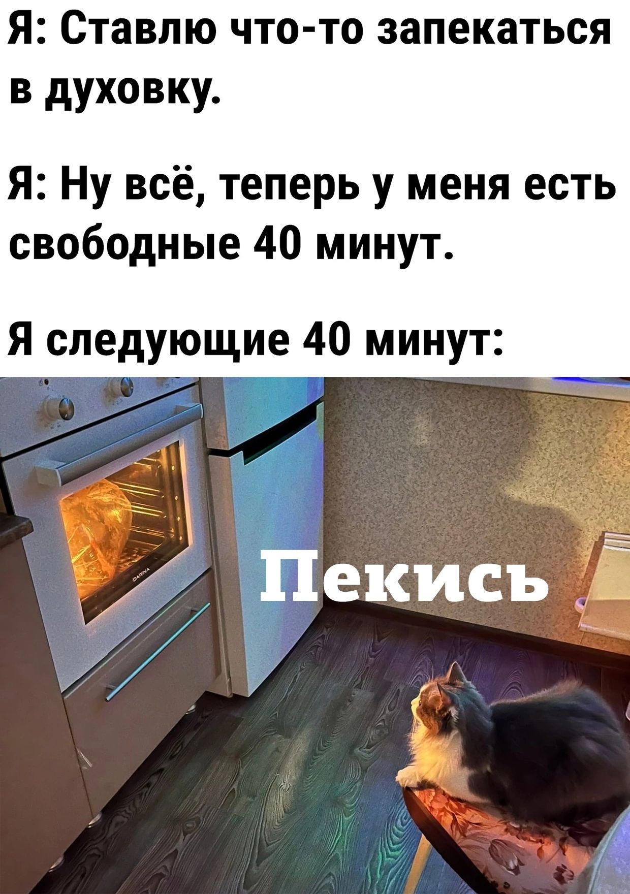 Я Ставлю что то запекаться в духовку Я Ну всё теперь у меня есть свободные 40 минут Я следующие 40 минут